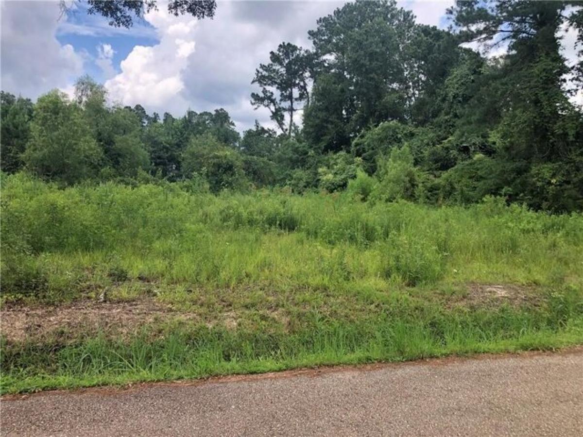 Picture of Residential Land For Sale in Ponchatoula, Louisiana, United States