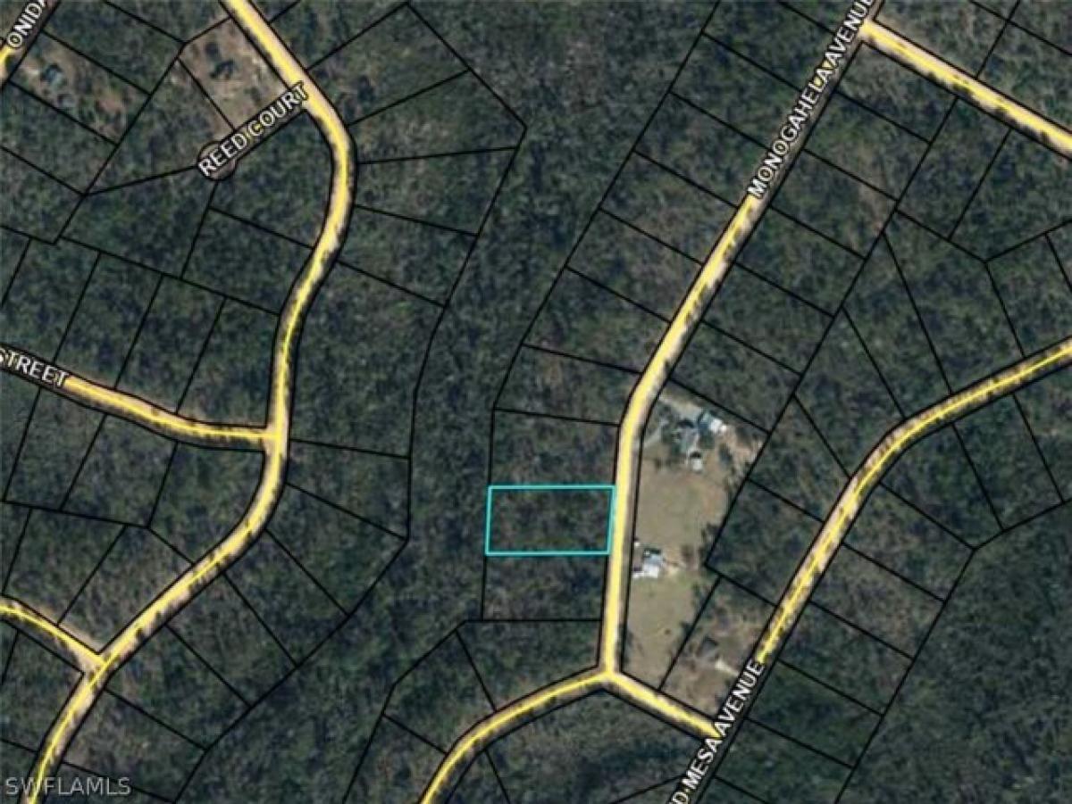 Picture of Residential Land For Sale in Alford, Florida, United States