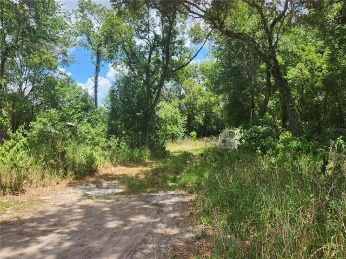 Picture of Residential Land For Sale in Zephyrhills, Florida, United States