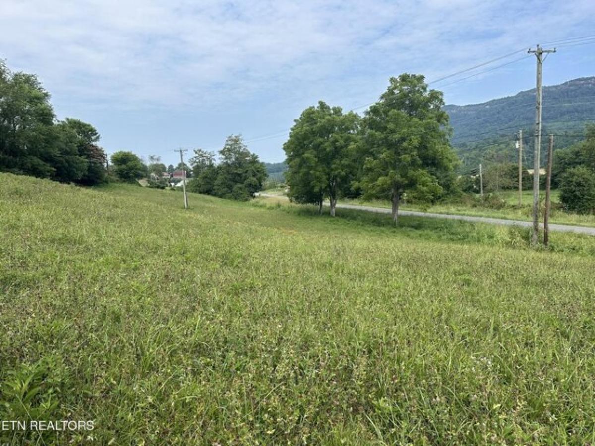 Picture of Residential Land For Sale in Rose Hill, Virginia, United States