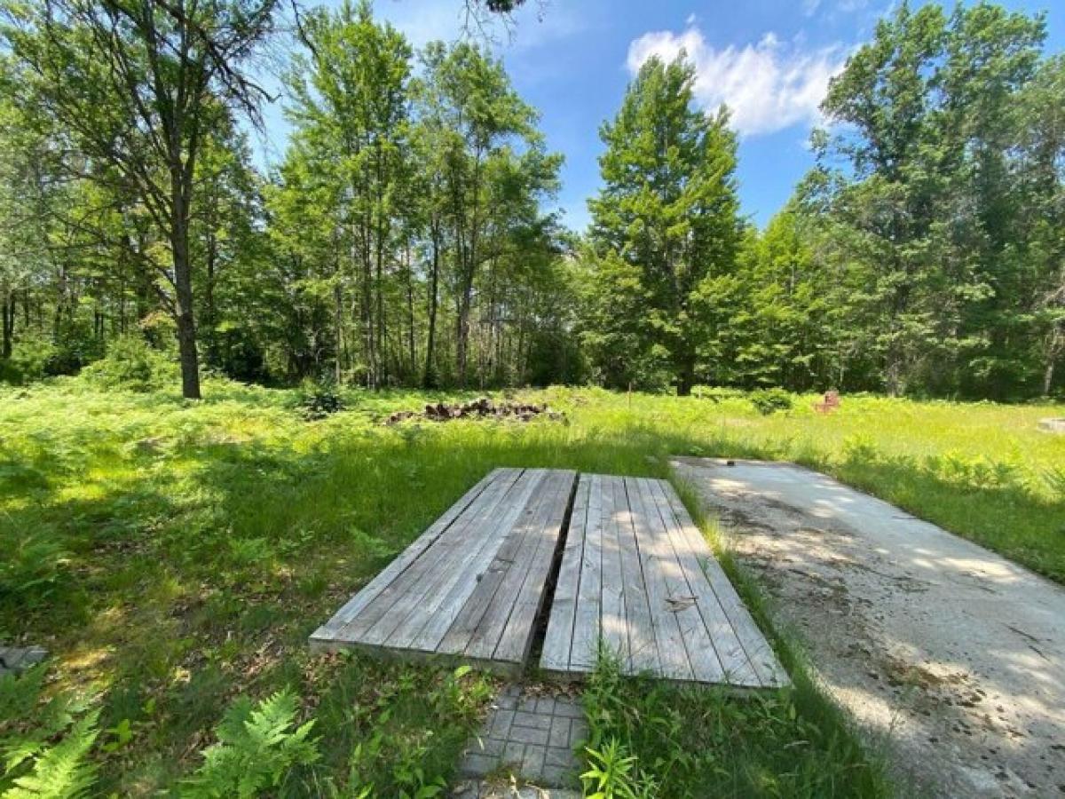 Picture of Residential Land For Sale in Mio, Michigan, United States