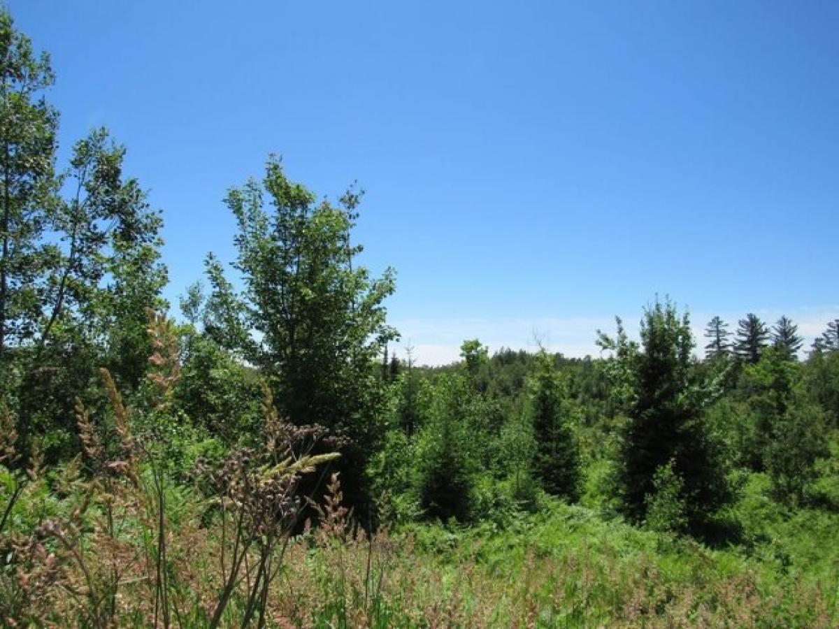 Picture of Residential Land For Sale in Champion, Michigan, United States