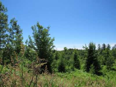 Residential Land For Sale in Champion, Michigan