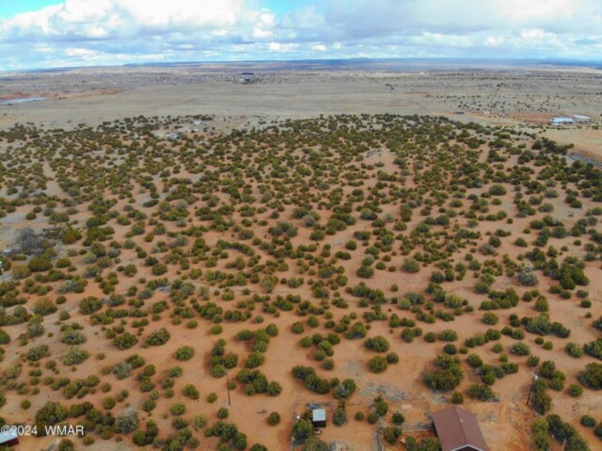 Picture of Residential Land For Sale in Taylor, Arizona, United States