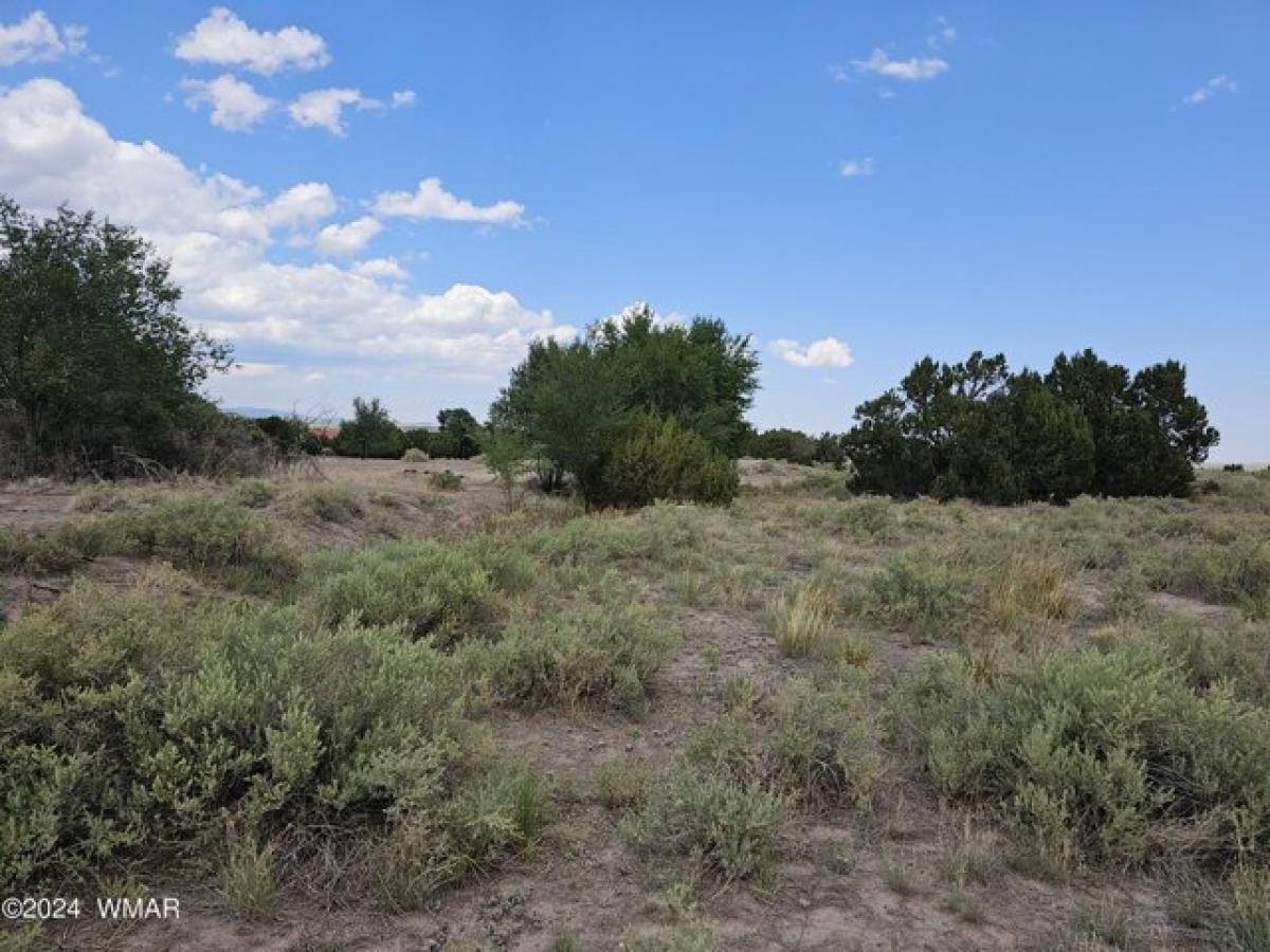 Picture of Residential Land For Sale in Eagar, Arizona, United States