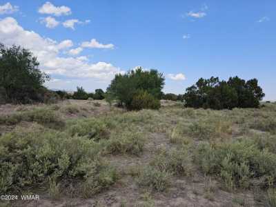 Residential Land For Sale in Eagar, Arizona