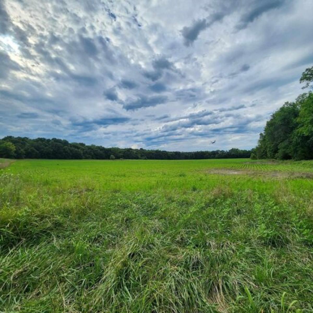 Picture of Residential Land For Sale in Pleasant Hill, Missouri, United States