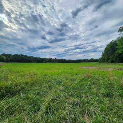 Residential Land For Sale in Pleasant Hill, Missouri