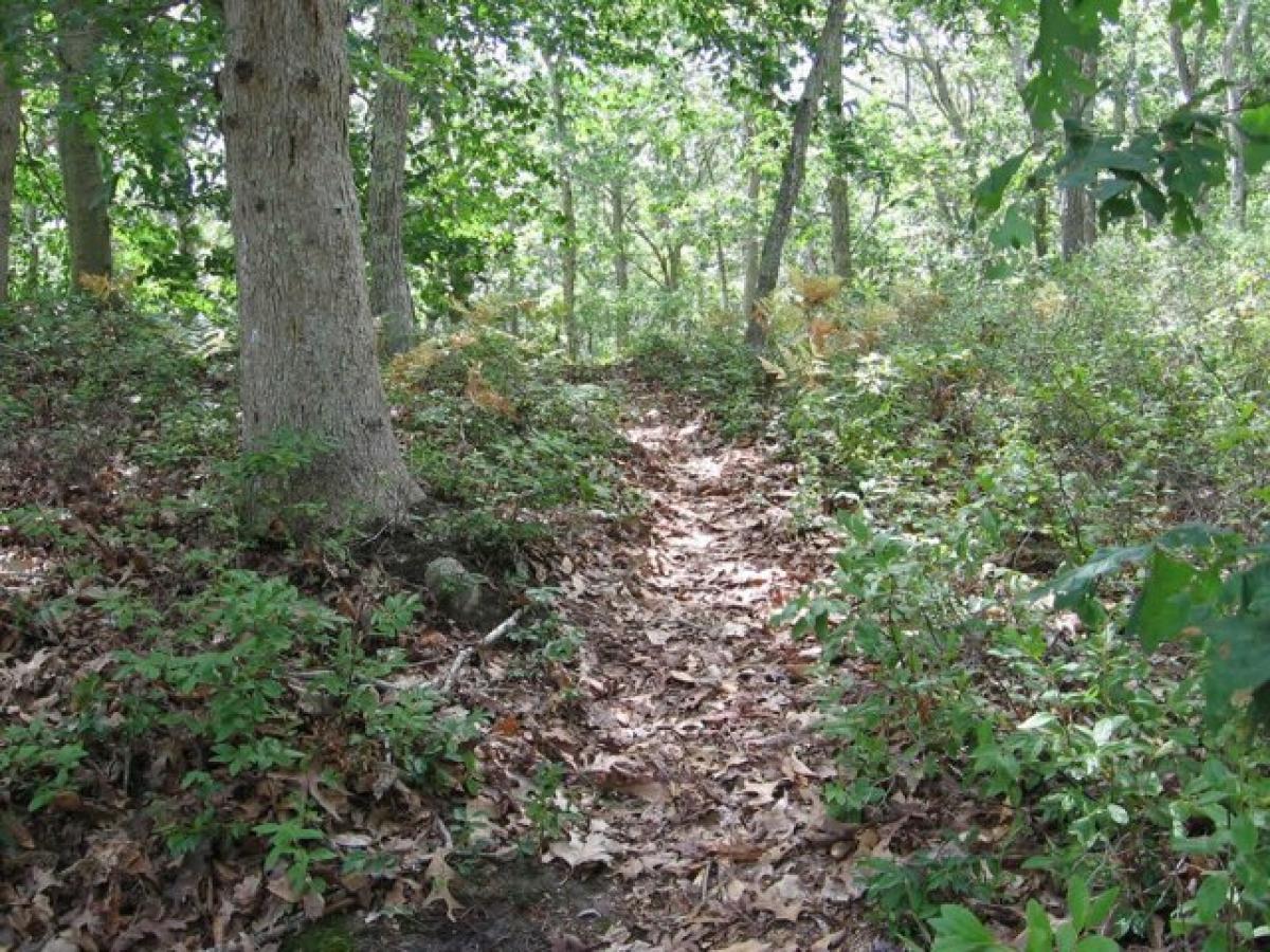 Picture of Residential Land For Sale in Vineyard Haven, Massachusetts, United States