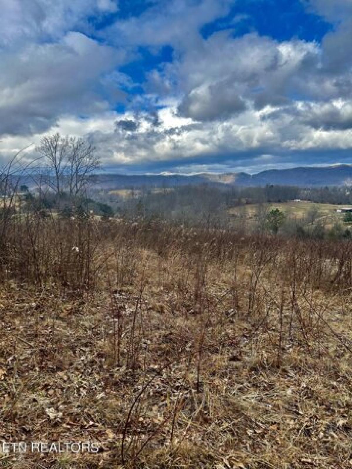 Picture of Residential Land For Sale in La Follette, Tennessee, United States