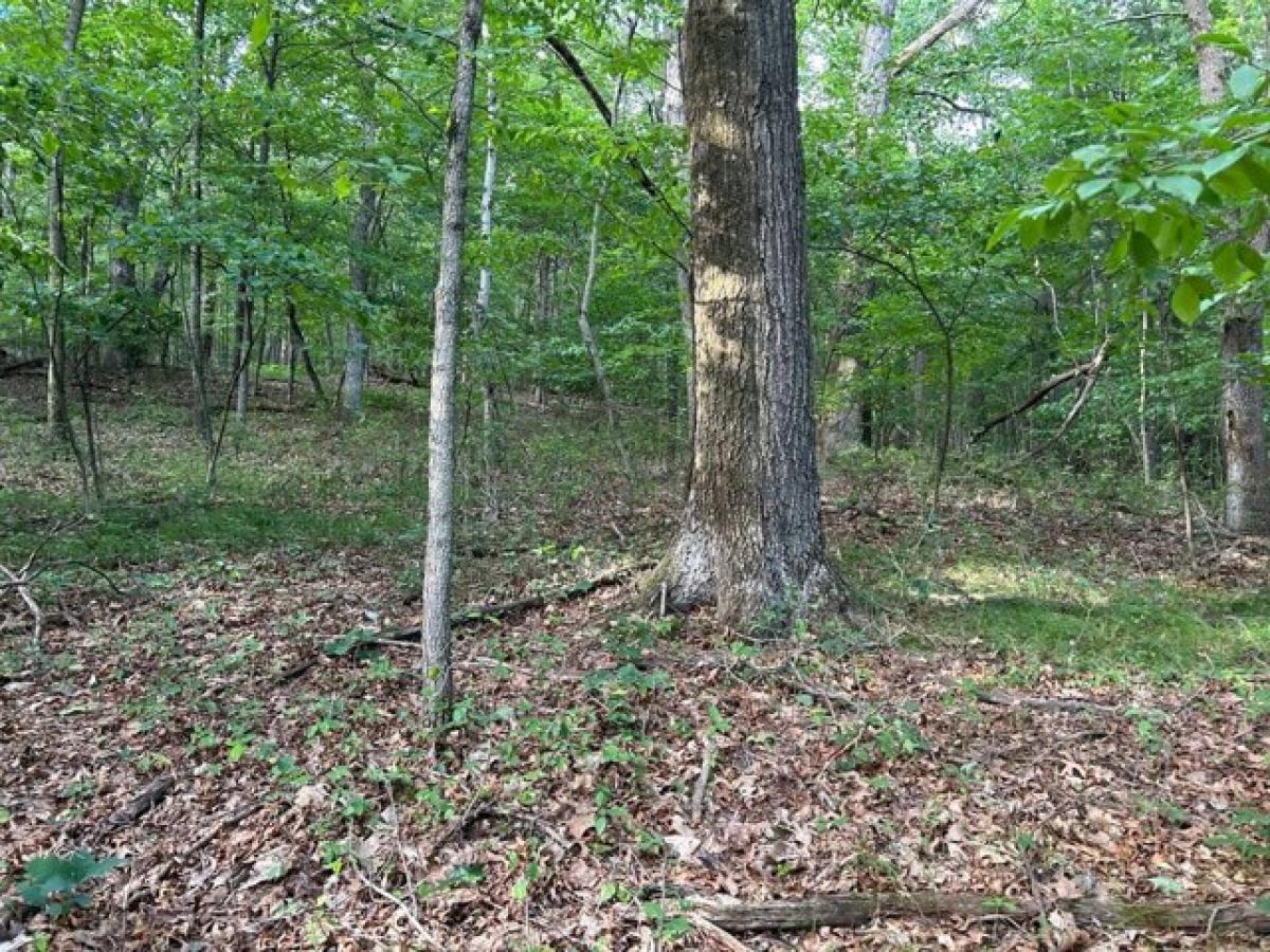 Picture of Residential Land For Sale in Marion Center, Pennsylvania, United States