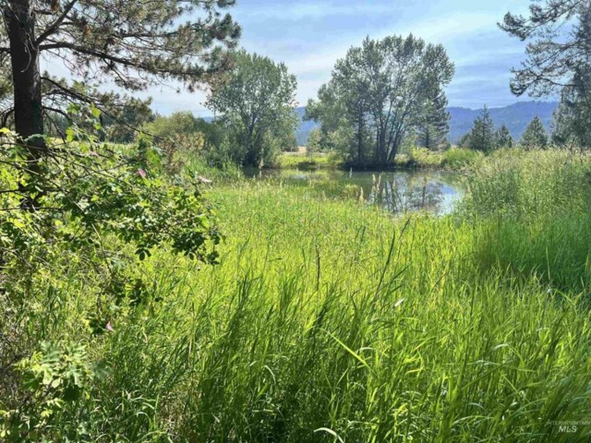 Picture of Residential Land For Sale in Cascade, Idaho, United States