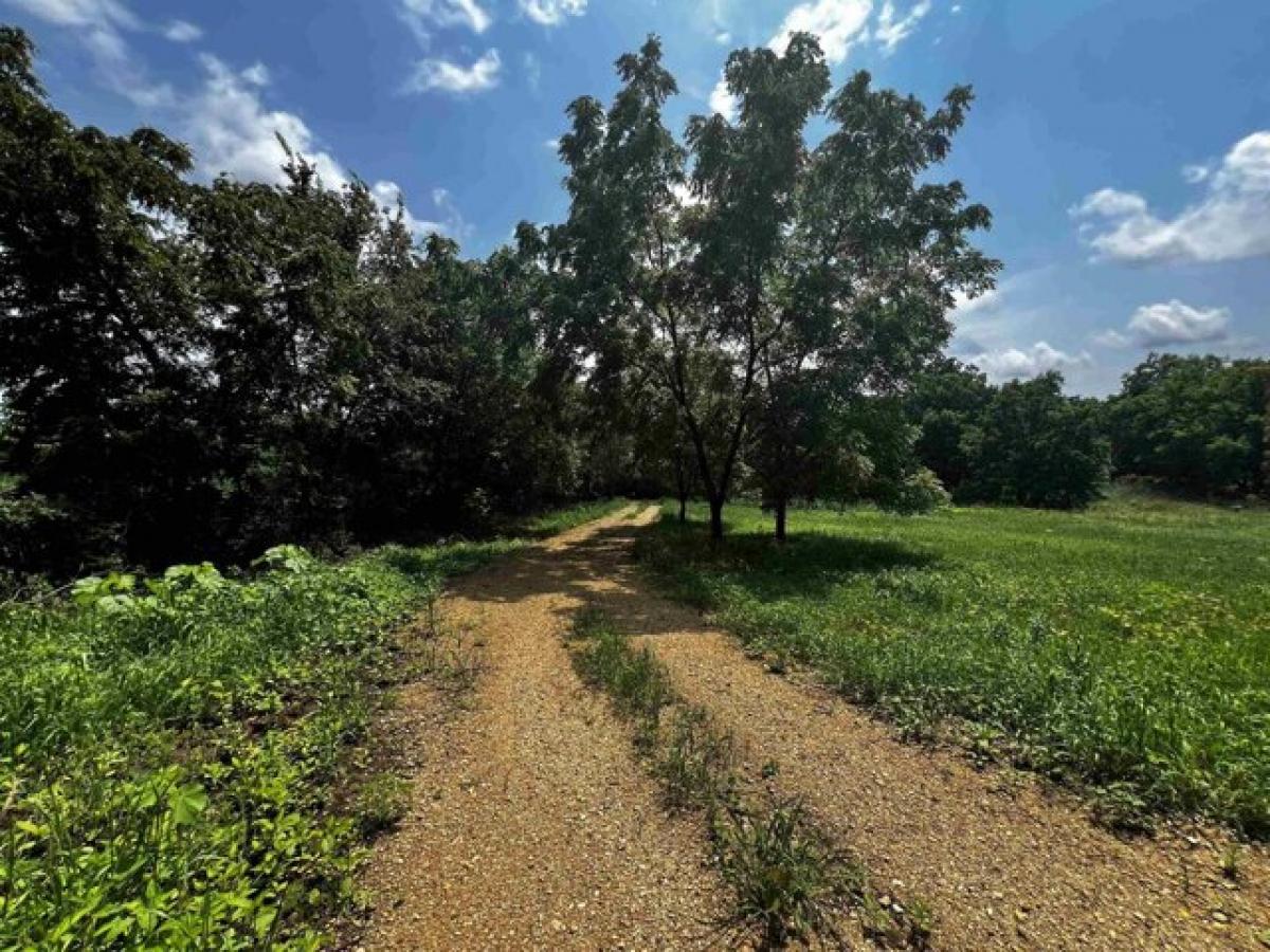 Picture of Residential Land For Sale in New Glarus, Wisconsin, United States