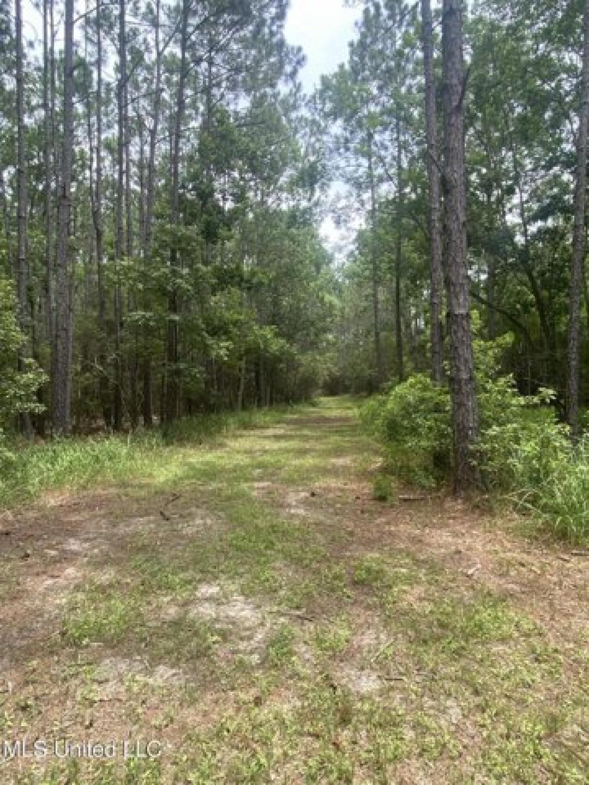 Picture of Residential Land For Sale in Moss Point, Mississippi, United States