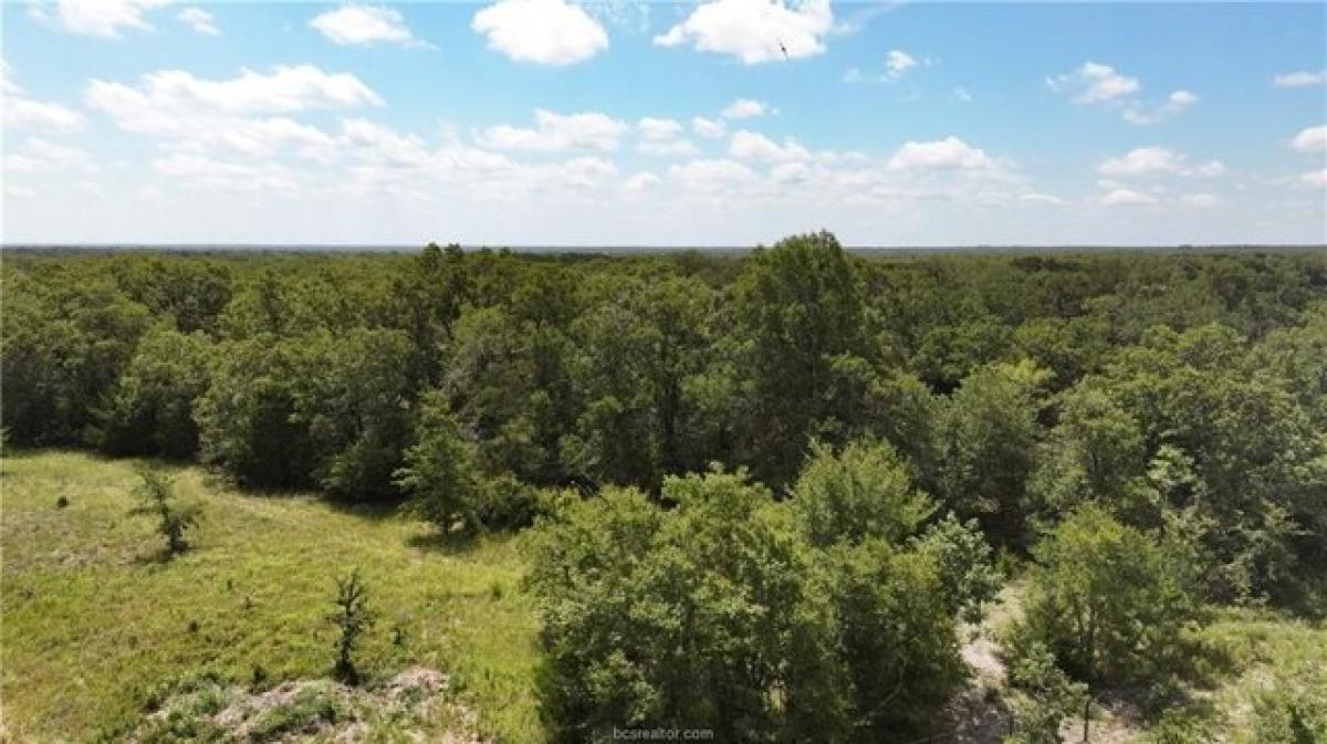 Picture of Residential Land For Sale in College Station, Texas, United States