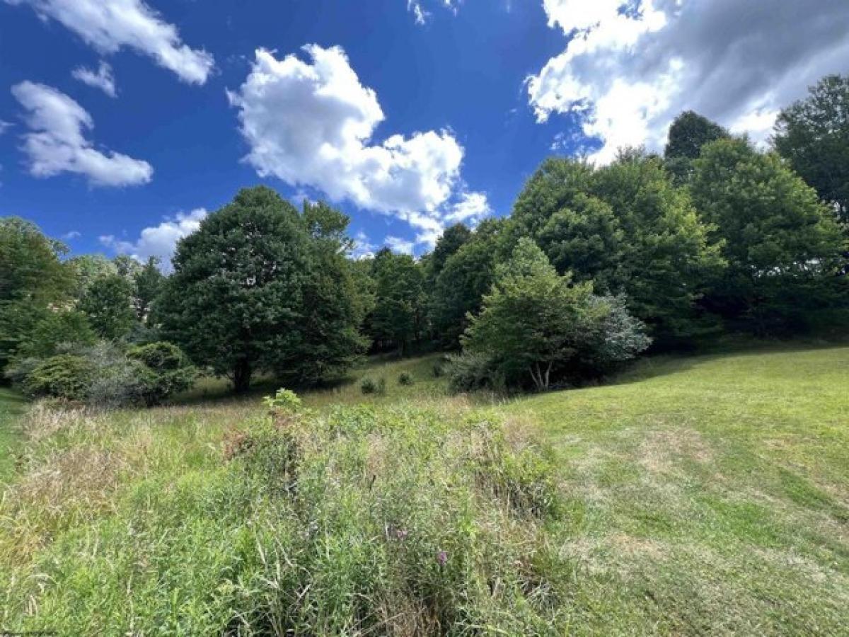 Picture of Residential Land For Sale in Buckhannon, West Virginia, United States