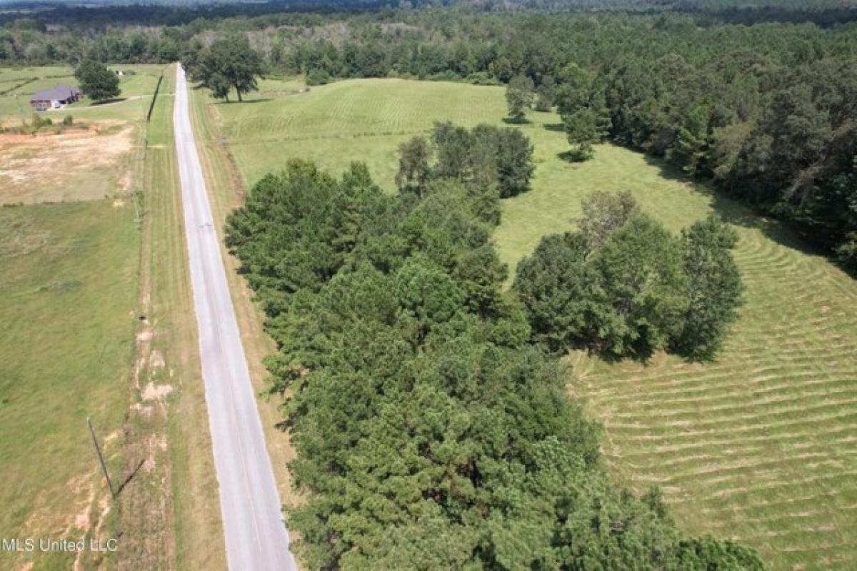 Picture of Residential Land For Sale in Lawrence, Mississippi, United States