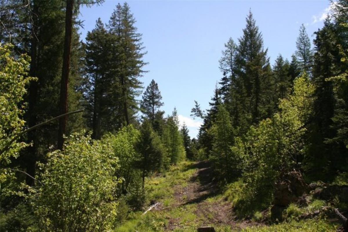 Picture of Residential Land For Sale in Kalispell, Montana, United States