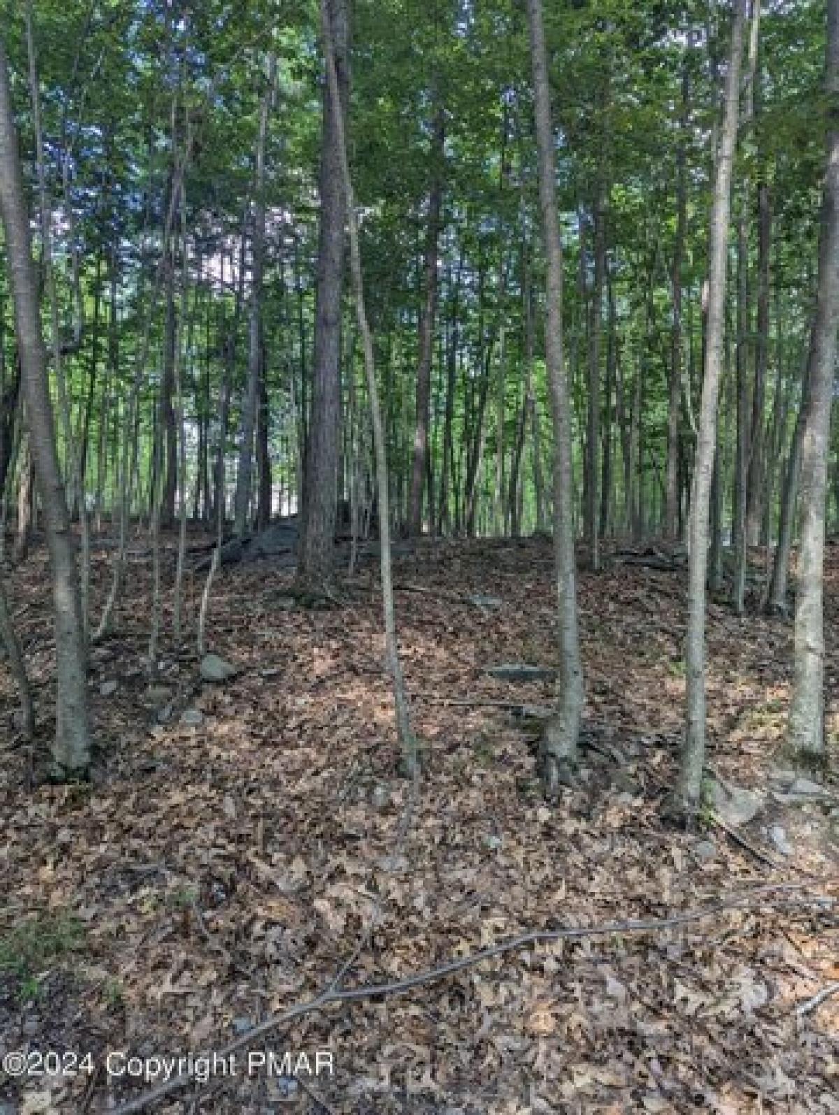 Picture of Residential Land For Sale in East Stroudsburg, Pennsylvania, United States