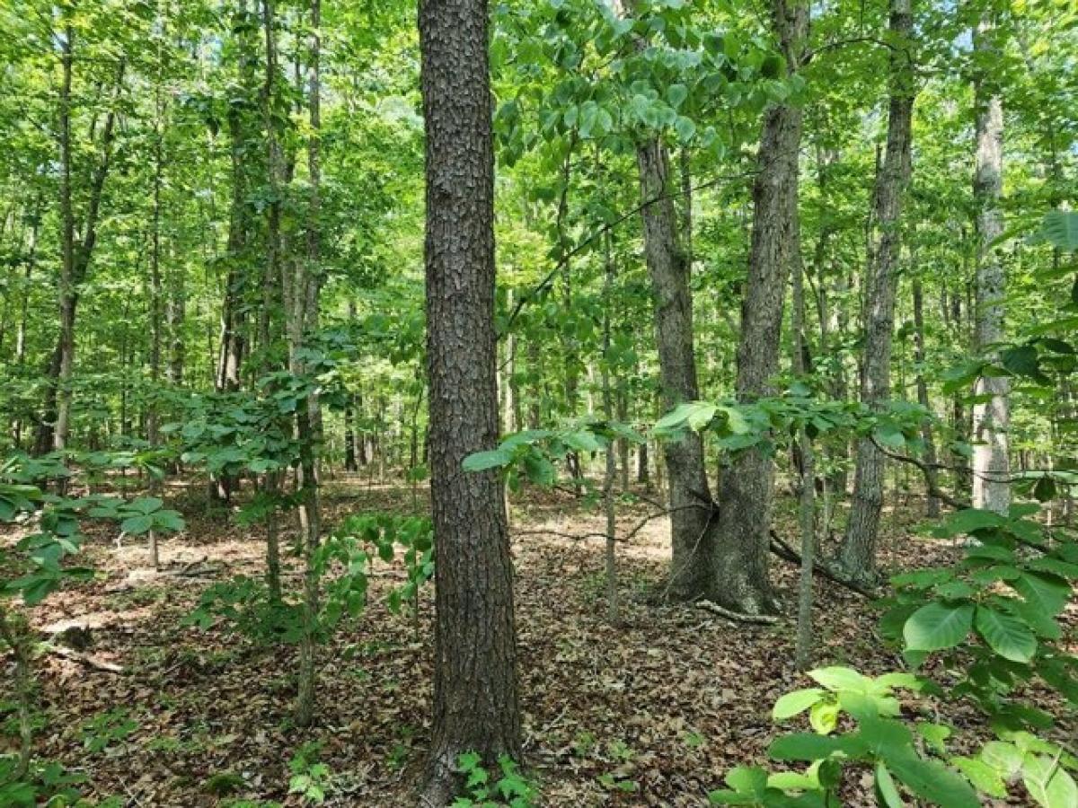 Picture of Residential Land For Sale in Pamplin, Virginia, United States