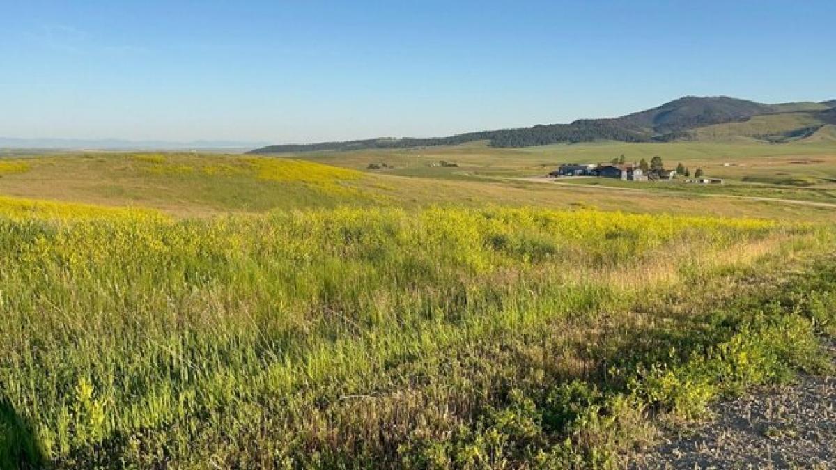 Picture of Residential Land For Sale in Lewistown, Montana, United States