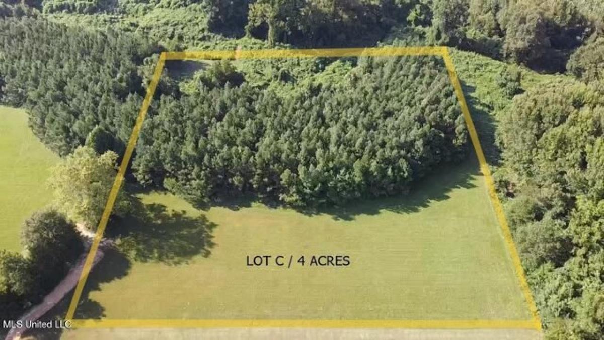 Picture of Residential Land For Sale in Hernando, Mississippi, United States