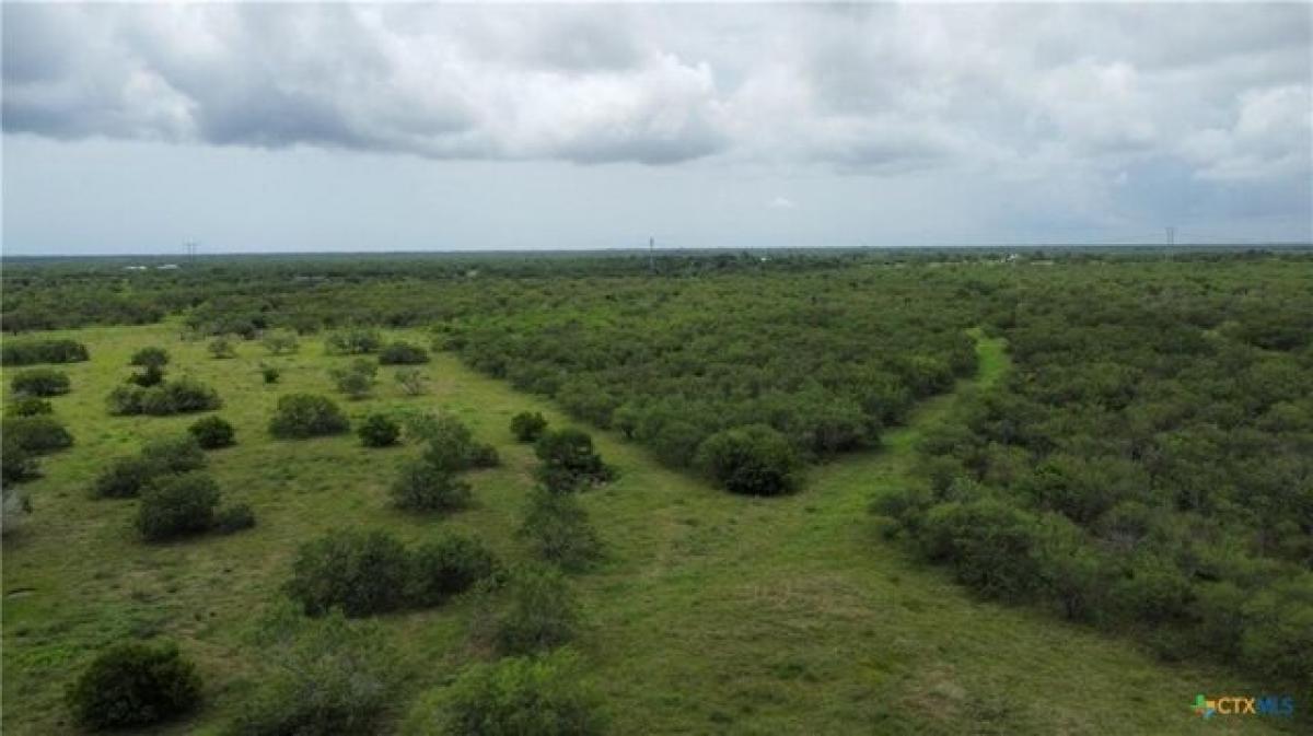 Picture of Residential Land For Sale in Goliad, Texas, United States