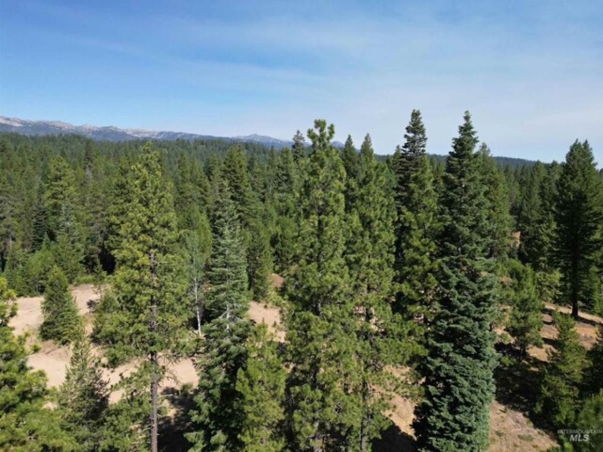 Picture of Residential Land For Sale in Cascade, Idaho, United States