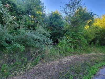 Residential Land For Sale in Ten Mile, Tennessee