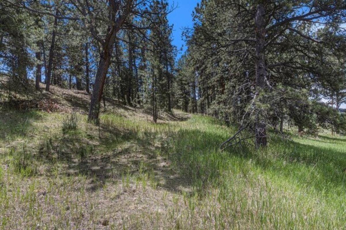 Picture of Residential Land For Sale in Florissant, Colorado, United States