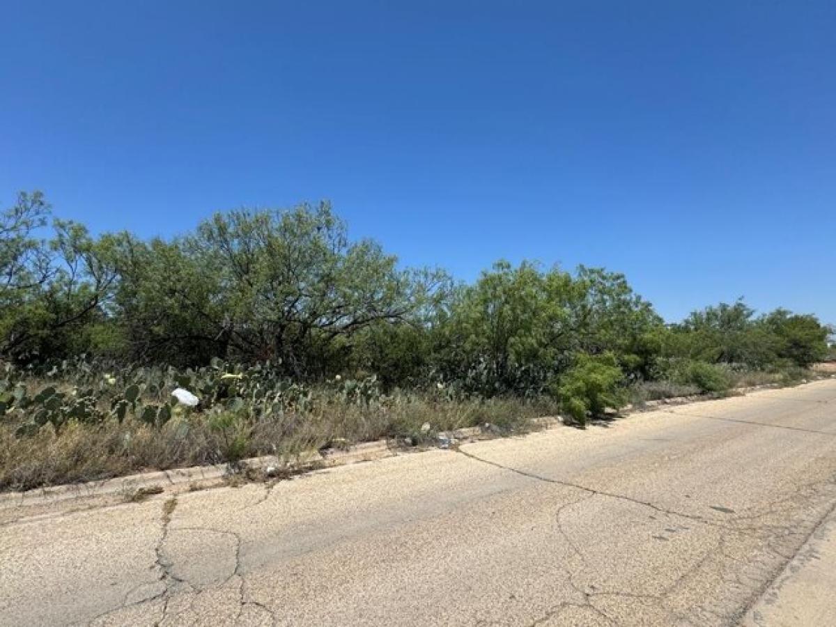 Picture of Residential Land For Sale in Big Spring, Texas, United States