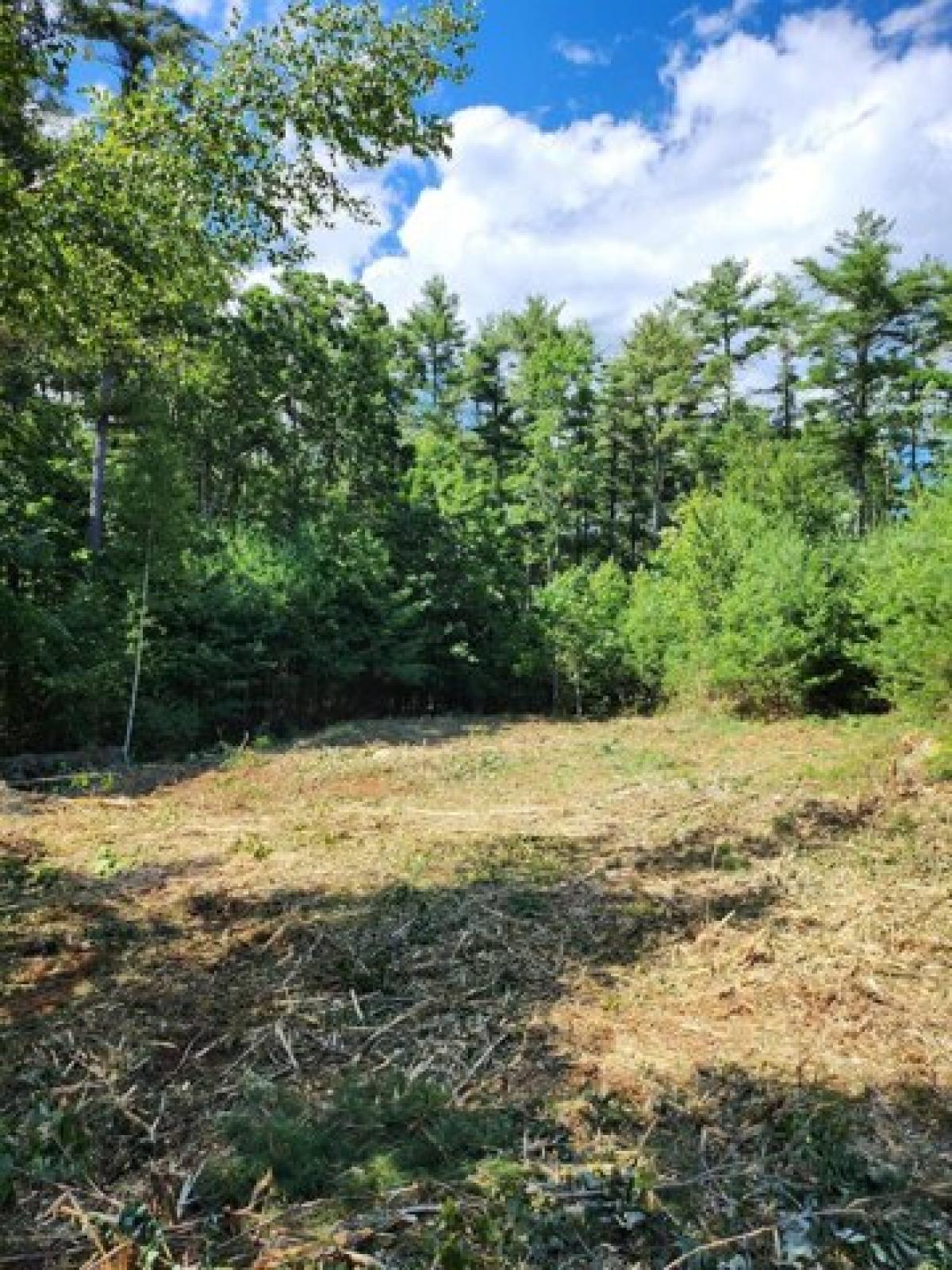 Picture of Residential Land For Sale in Falmouth, Maine, United States