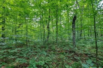 Residential Land For Sale in Marenisco, Michigan