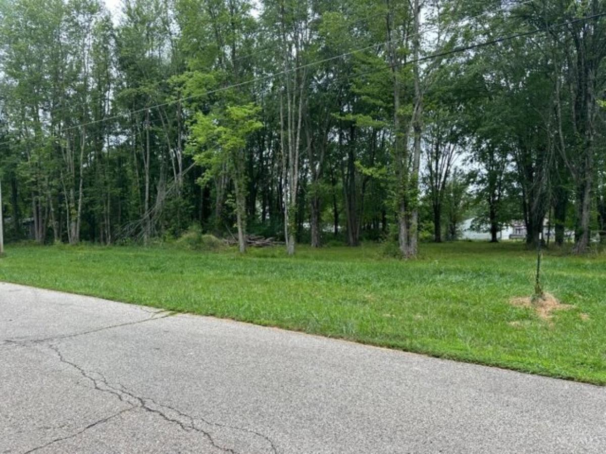 Picture of Residential Land For Sale in Newtonsville, Ohio, United States