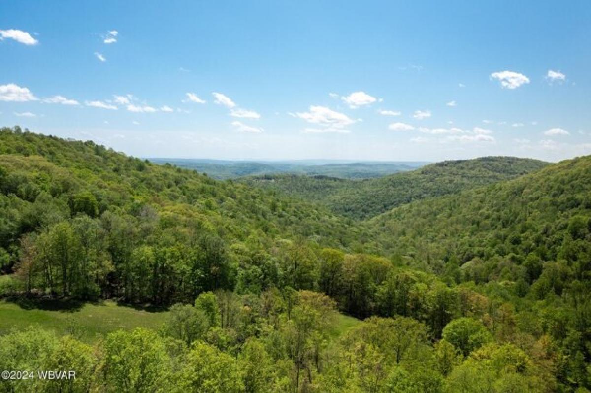 Picture of Residential Land For Sale in Muncy Valley, Pennsylvania, United States