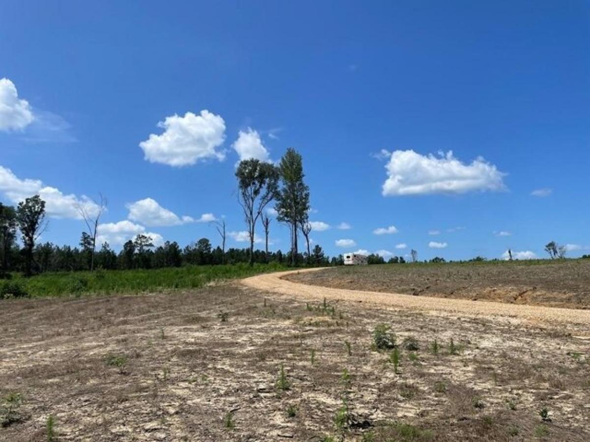 Picture of Residential Land For Sale in Mount Hermon, Louisiana, United States