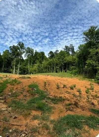 Residential Land For Sale in Decatur, Tennessee