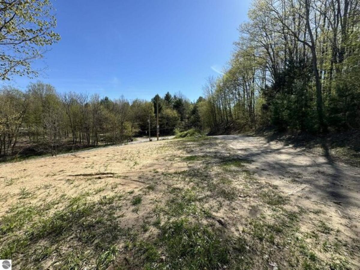 Picture of Residential Land For Sale in Alden, Michigan, United States