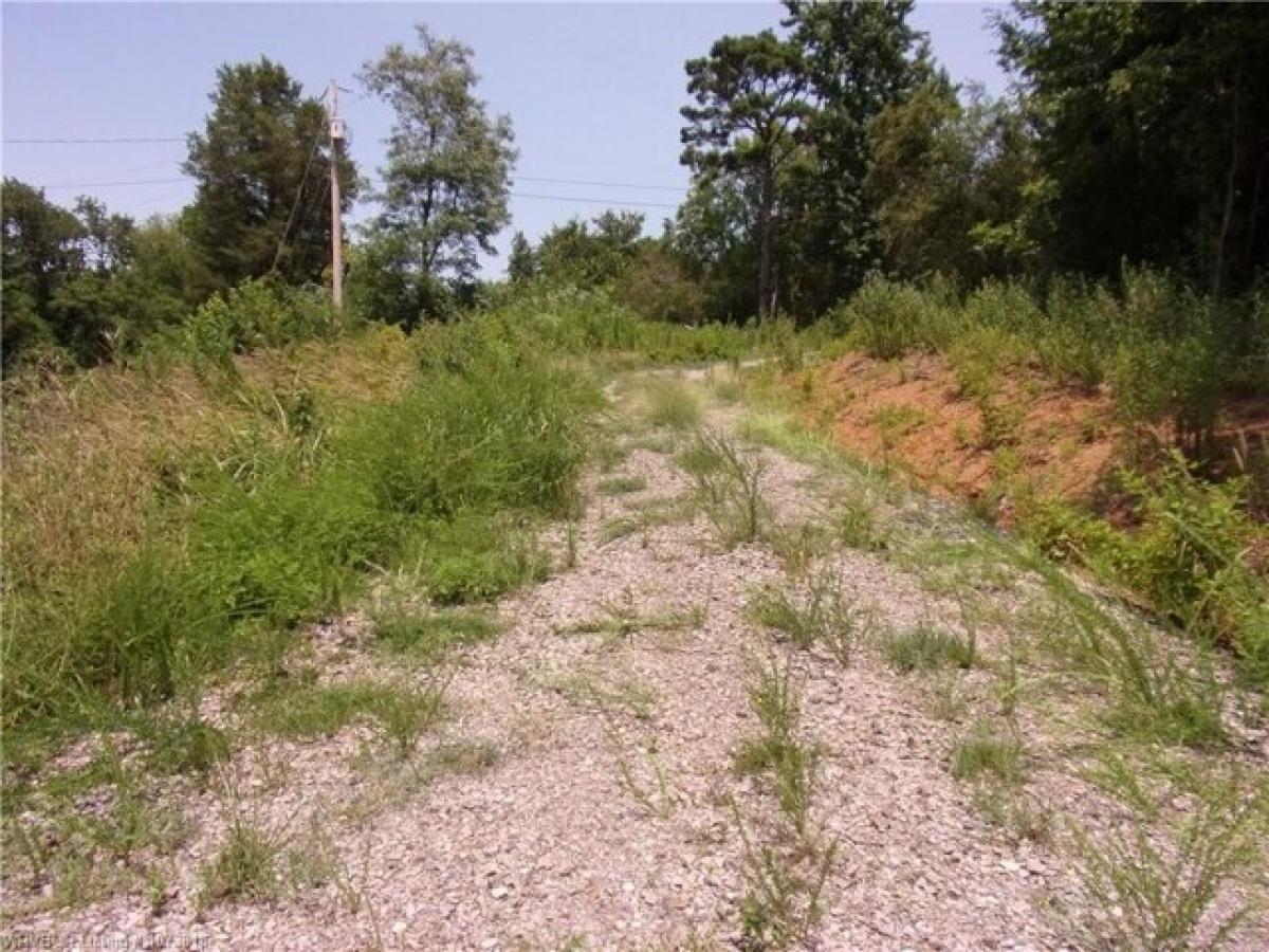 Picture of Residential Land For Sale in Ozark, Arkansas, United States