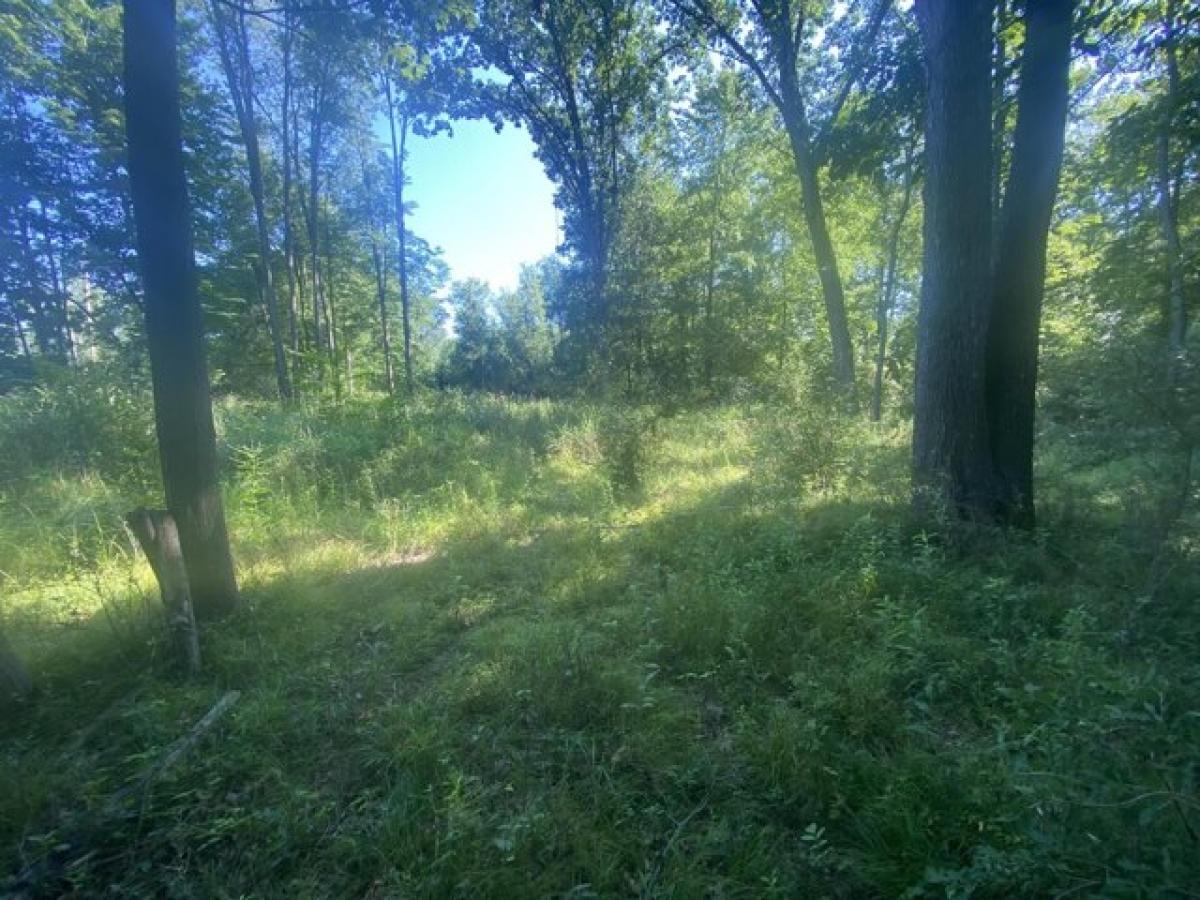 Picture of Residential Land For Sale in Jonesville, Michigan, United States