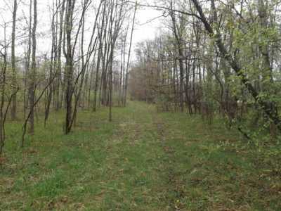 Residential Land For Sale in Pierson, Michigan