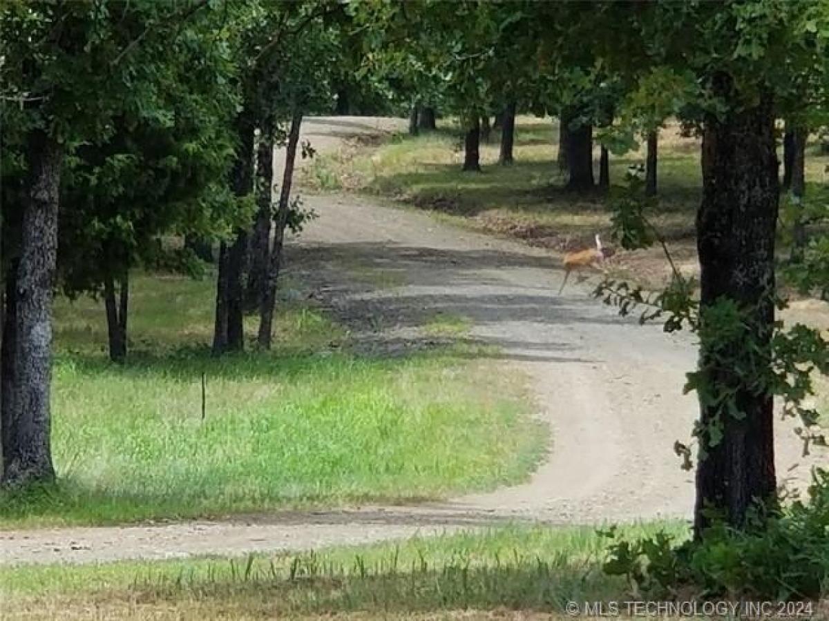 Picture of Residential Land For Sale in Eufaula, Oklahoma, United States