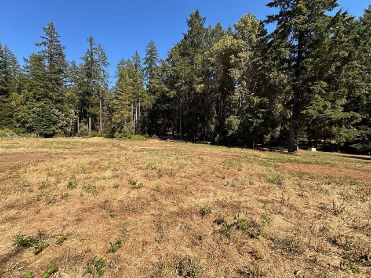 Picture of Residential Land For Sale in Salyer, California, United States