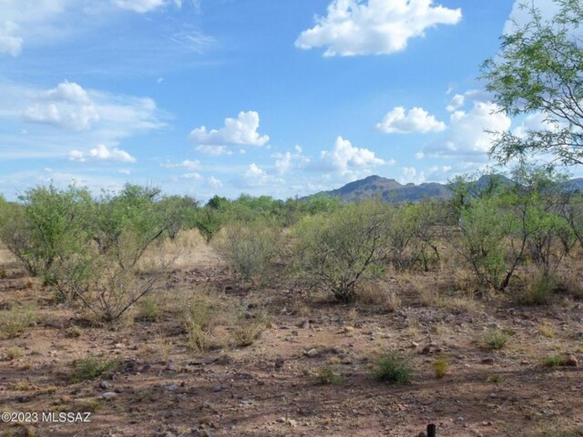 Picture of Residential Land For Sale in Tubac, Arizona, United States