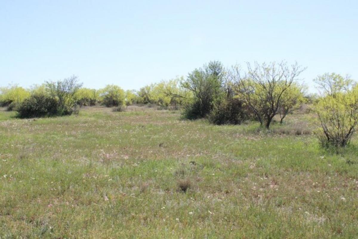 Picture of Residential Land For Sale in Ballinger, Texas, United States