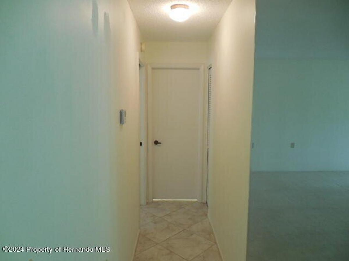 Picture of Home For Rent in Spring Hill, Florida, United States