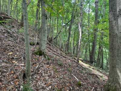 Residential Land For Sale in Nabb, Indiana