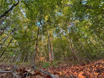 Residential Land For Sale in Hamilton, Alabama