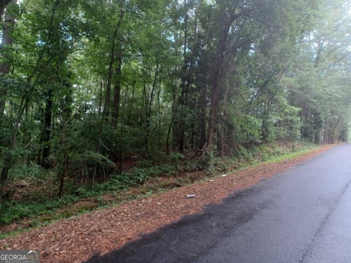 Picture of Residential Land For Sale in West Point, Georgia, United States