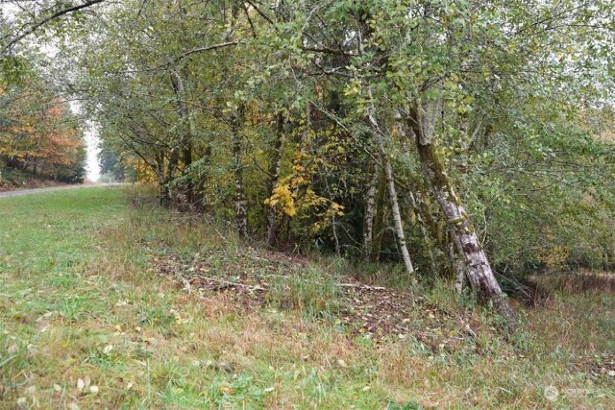 Picture of Residential Land For Sale in Oakville, Washington, United States